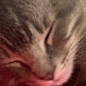 Meet your Posher, Macy